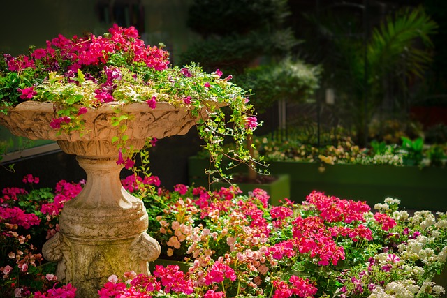 pink und rosa blühende Blumen, die eine Statue überwuchern