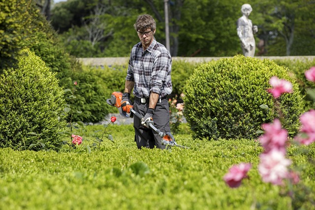 Junger Mann schneidet eine Hecke