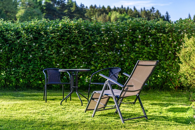 Liegestuhl inmitten eines sonnigen Gartens vor einer grünen Hecke